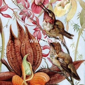 Glass Design Glass Design Elevation Glass Design Etching Acrylic With Armour Etch
