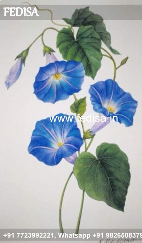Glass Design Glass Design Modern Glass Door Design Glass Block Laser Engraving